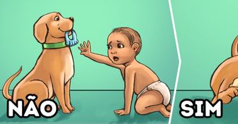8 Dicas para que seu pet se prepare para a chegada de um bebê