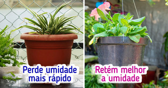 Aprenda a usar os vasos que tem em casa para começar sua própria horta