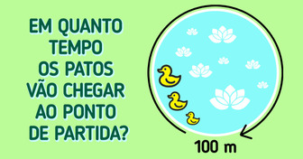 Desafio de raciocínio: decifre o intrigante enigma dos patos no lago