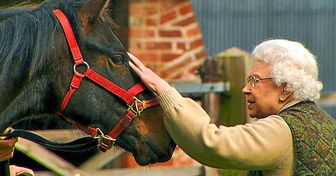 Rainha Elizabeth II salva uma raça inteira de cavalos de extinção (e não há palavras para agradecê-la)