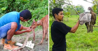 Um homem da Índia trabalhou incansavelmente durante 12 anos para salvar mais de 5.000 animais