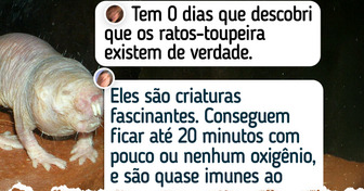 10 Criaturas esquisitas que impressionam no visual, mas são totalmente pacíficas