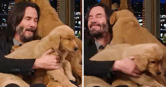 Keanu Reeves brinca com cachorros durante entrevista e mais uma vez encanta a Internet