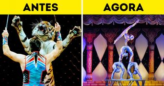 10 Países que proibiram circo com animais e apresentam espetáculos sem crueldade