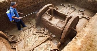 10 Achados arqueológicos surpreendentes e acidentais