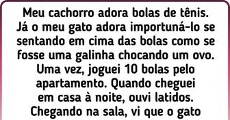 15+ Relatos de internautas sobre o intelecto impressionante dos seus bichinhos de estimação