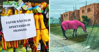 19 Fotos que mostram como só nós entendemos os costumes e as preferências dos brasileiros