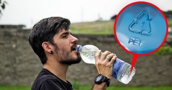 6 Coisas que você deve considerar ao comprar água engarrafada