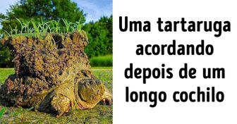 21 Fotos que podem ajudar a entender melhor o mundo