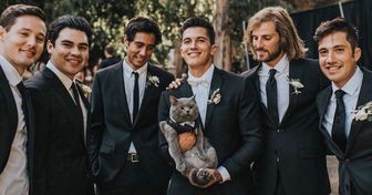 Um gato popular da Internet foi o padrinho de casamento do dono (e as imagens são adoráveis)