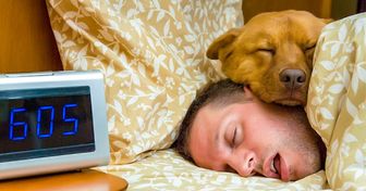 Estudo comprova que dormir com o animal de estimação faz bem