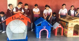 Crianças mexicanas construíram casas para cães de rua com materiais reciclados