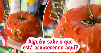 18 Fotos comuns que nos fizeram questionar: “O que está acontecendo aqui?”