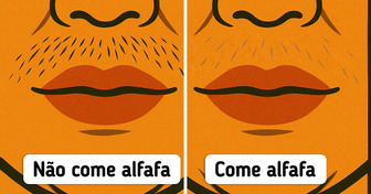 9 Benefícios da alfafa que quase ninguém conhecia (até agora)