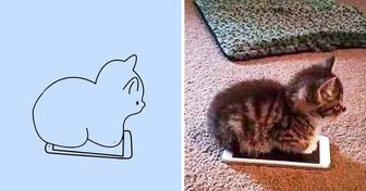 Artista cria desenhos minimalistas de animais fazendo coisas que só eles entendem, com traços perfeitos para tatuagens