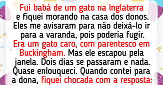 17 Relatos que provam que pets são mestres do caos e do humor