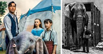 A trágica história de Jumbo, elefante que inspirou o filme “Dumbo”