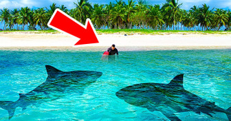 Esta pequena ilha é um local perigoso para ataques de tubarão, e ninguém sabe o motivo