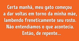 20+ Pessoas que compartilharam relatos da inteligência impressionante de seus pets