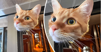 13 Fotos que dão um nó nos olhos sem fazer esforço