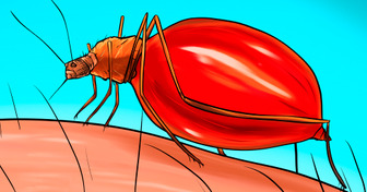 O que acontece com seu corpo quando você recebe uma picada de mosquito