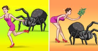 9 Maneiras de manter aranhas e insetos longe da sua casa