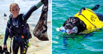 600+ Mergulhadores (e alguns cachorros) se unem para limpar o oceano e entram para o Livro dos Recordes