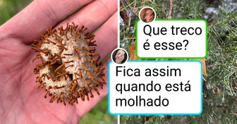 14 Surpresas naturais que deixaram todo mundo de boca aberta