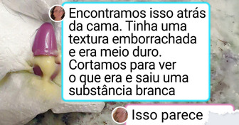 22 Achados bizarros que a internet ajudou a desvendar o que era