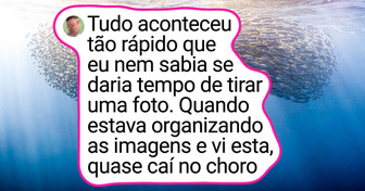18 Provas de que a natureza ainda é a maior artista do planeta