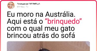 20+ Pessoas que apenas queriam ter uma linda viagem