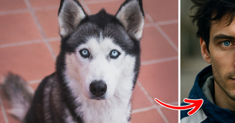 Como seriam 9 raças de cachorro famosas se fossem pessoas