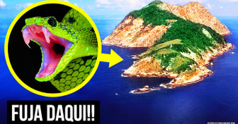 Como as Cobras Fizeram Desta Ilha o Lugar Mais Perigoso do Planeta