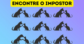 Cada uma destas 12 imagens esconde um impostor; quem é bom mesmo encontra todos