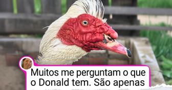 19 Pets com traços únicos que seus donos decidiram mostrar ao mundo