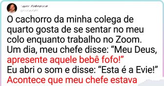 15+ Tuítes divertidos com os quais muitos poderão se identificar