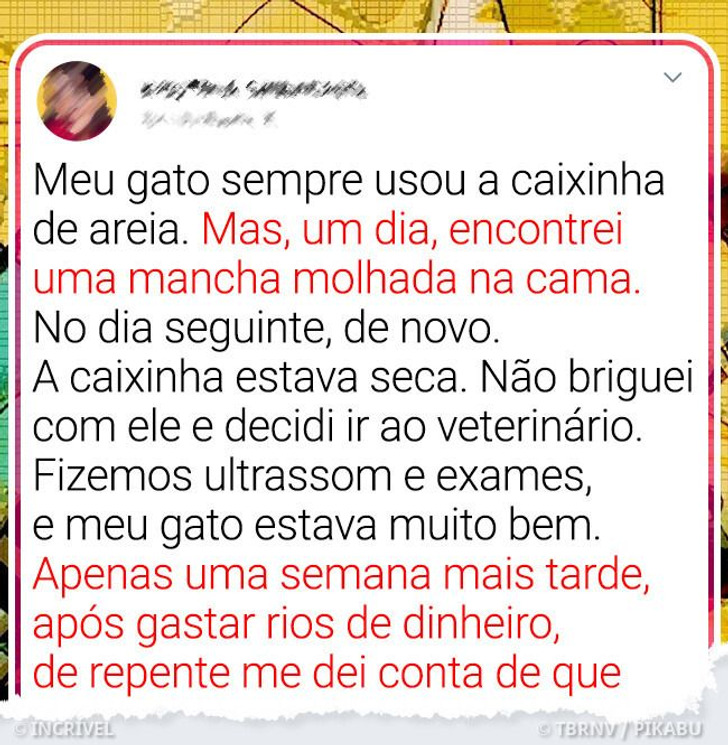 17 Animais que aprontaram firulas de cair de rir