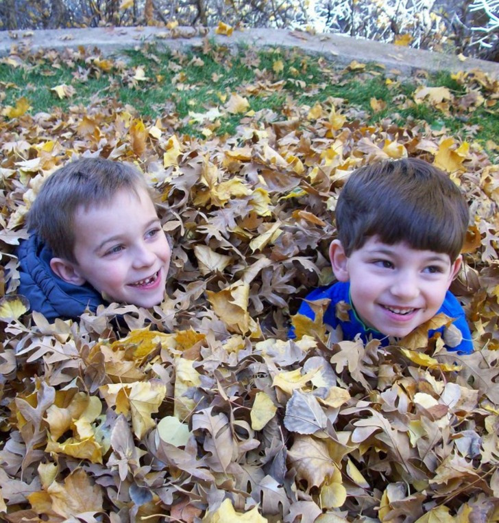 Em busca do pai biológico de Tim