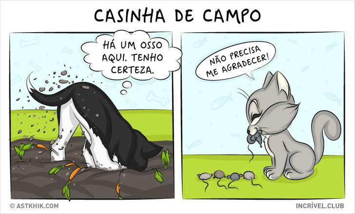 14 quadrinhos sobre as diferenças entre viver com um cão e com um gato