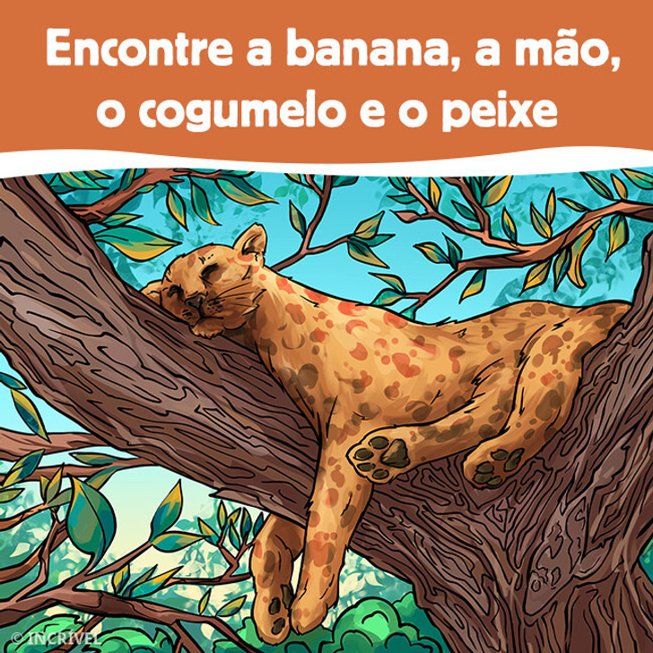 Verifique o poder do seu cérebro com estes dois testes simples