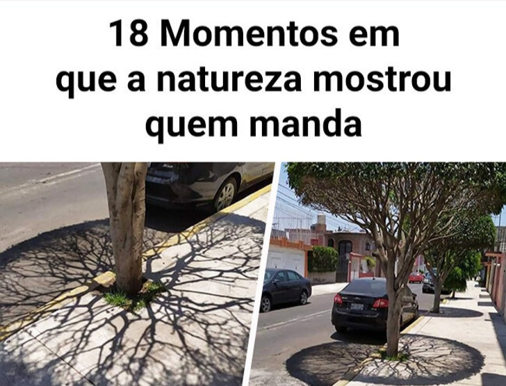 18 Momentos em que a natureza mostrou quem manda