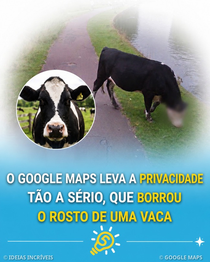 O Google Maps é conhecido por proteger a privacidade das pessoas, mas, desta vez, pode ter ido um pouco além do esperado.