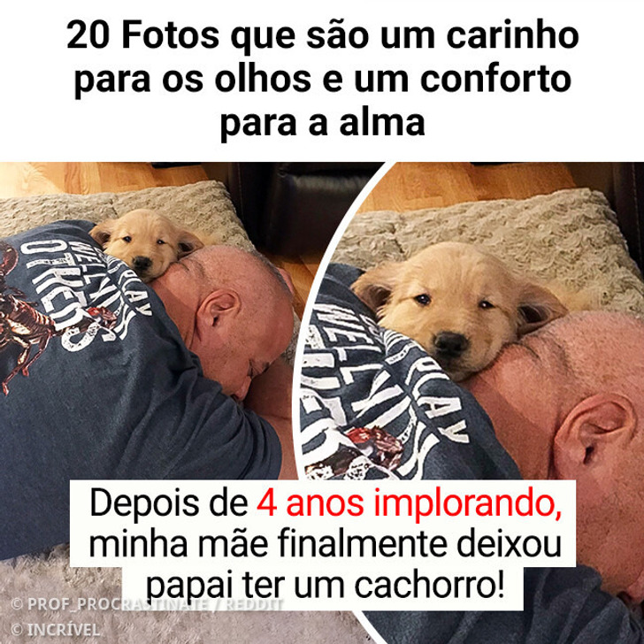 20 Fotos que são um carinho para os olhos e um conforto para a alma