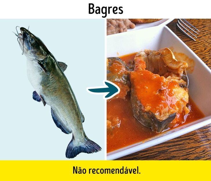 9 Tipos De Peixe Que E Melhor Evitar