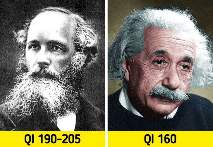 15 Pessoas com QI mais alto que o de Albert Einstein e quais são suas ...