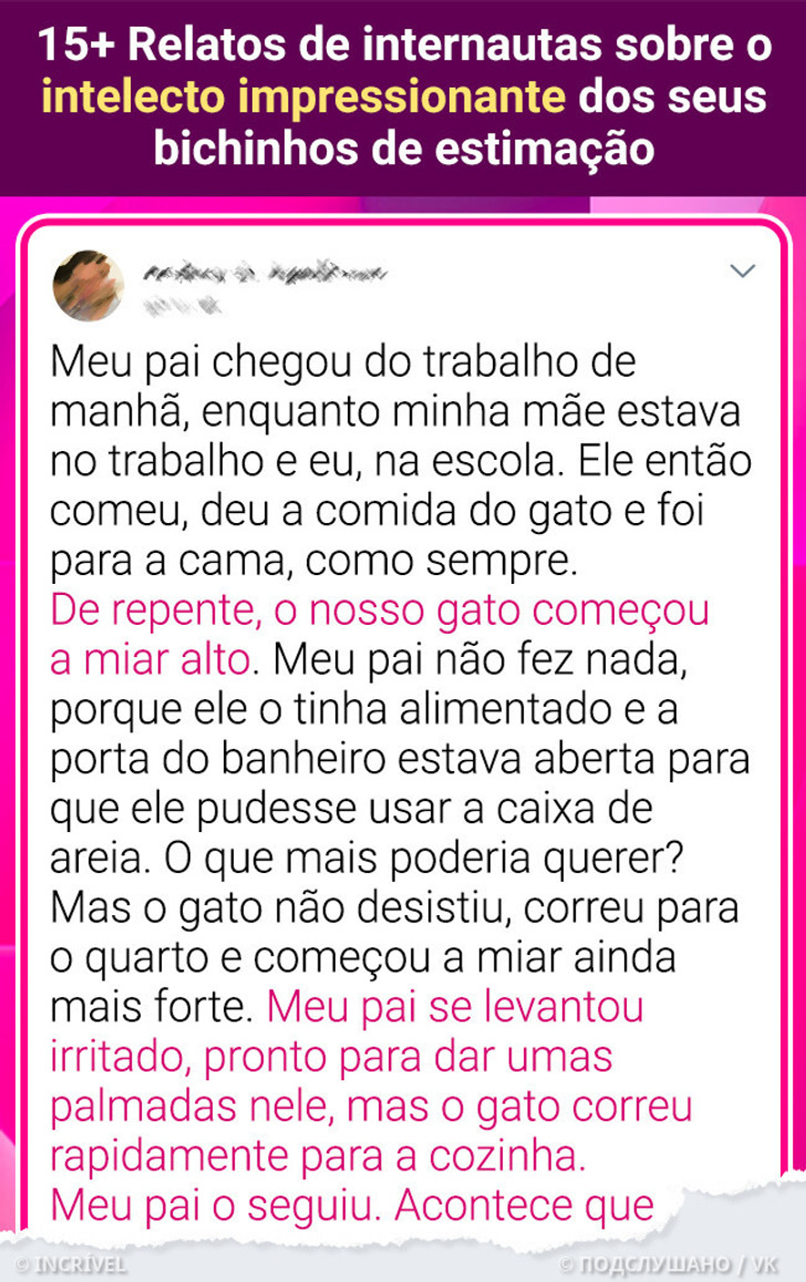 15+ Relatos de internautas sobre o intelecto impressionante dos seus bichinhos de estimação