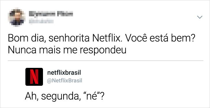 20+ Tuítes que mostram como a Netflix Brasil tem um humor maravilhoso (nova  seleção)