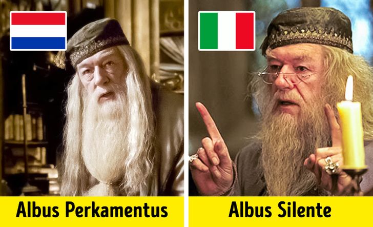 Resultado de imagem para piadas de Harry Potter portugues