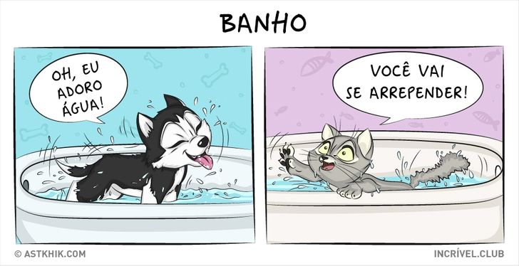 14 quadrinhos sobre as diferenças entre viver com um cão e com um gato