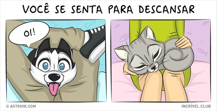 14 quadrinhos sobre as diferenças entre viver com um cão e com um gato